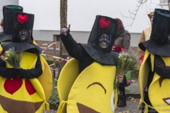 Karneval in Bergisch Gladbach 2018