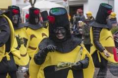 Karneval in Bergisch Gladbach 2018